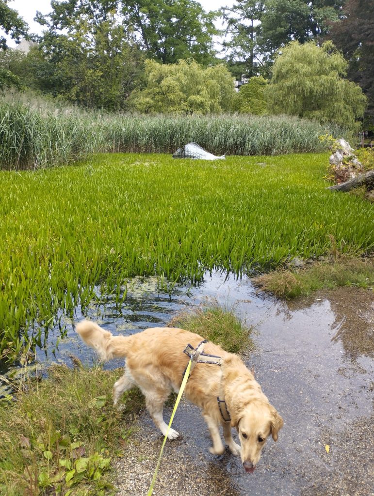 Punkt 1 - Grimm-Dich-Pfad Marburg