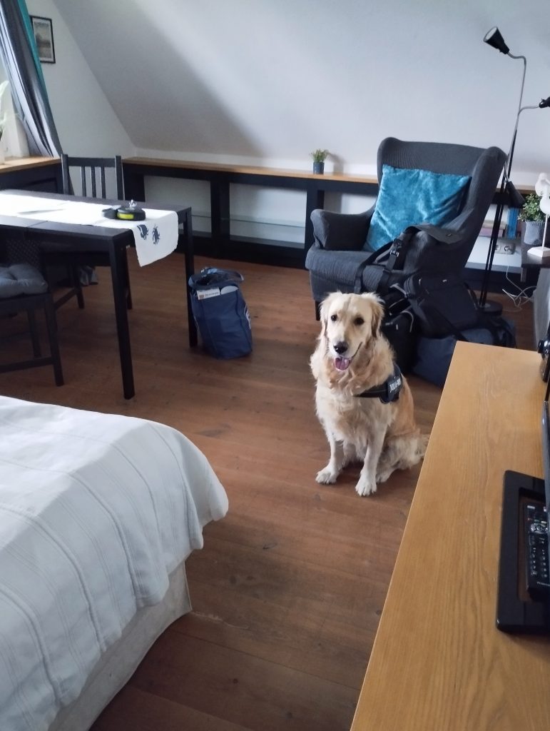 Ferienwohnung Travemünde