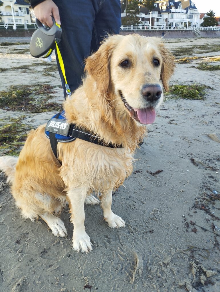Strandpromenade Travemünde