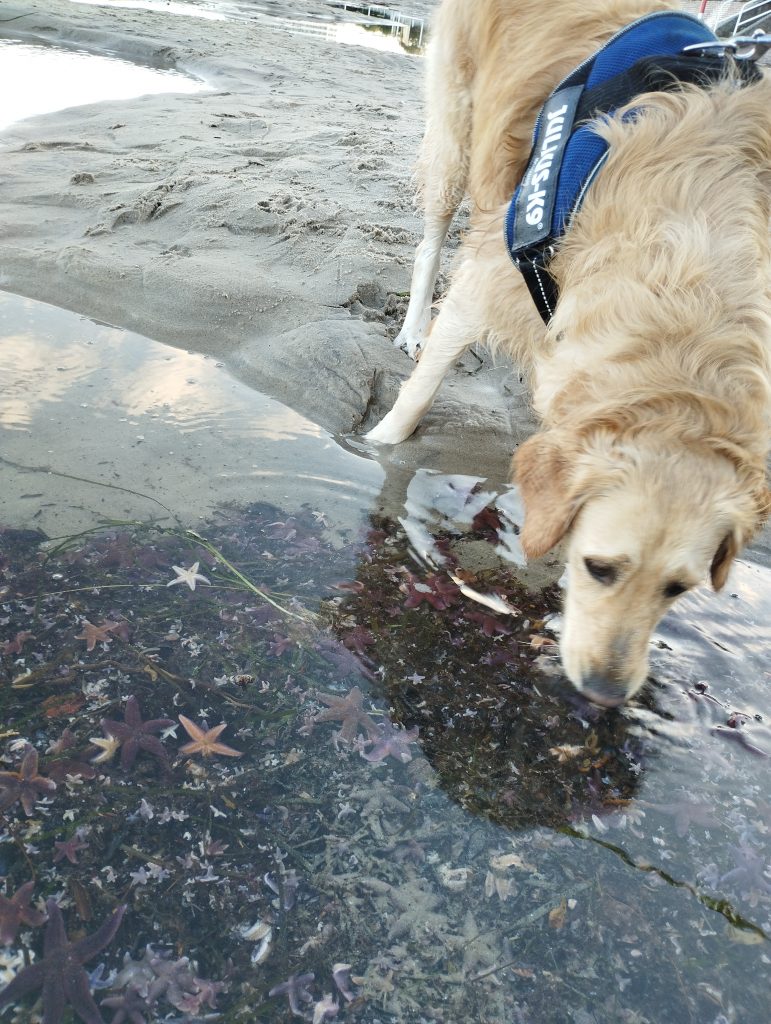 Strandpromenade Travemünde