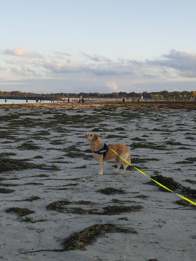 Strandpromenade Travemünde