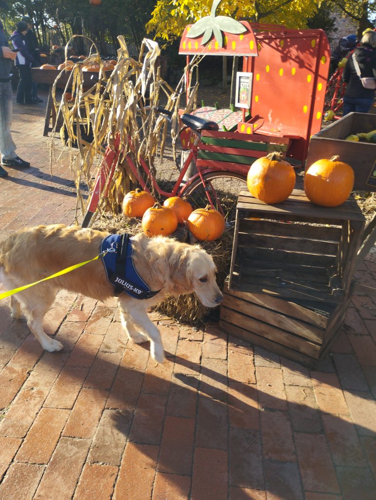 Karls Erlebnis-Dorf Warnsdorf