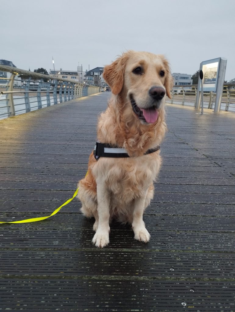 Seepromenade Niendorf