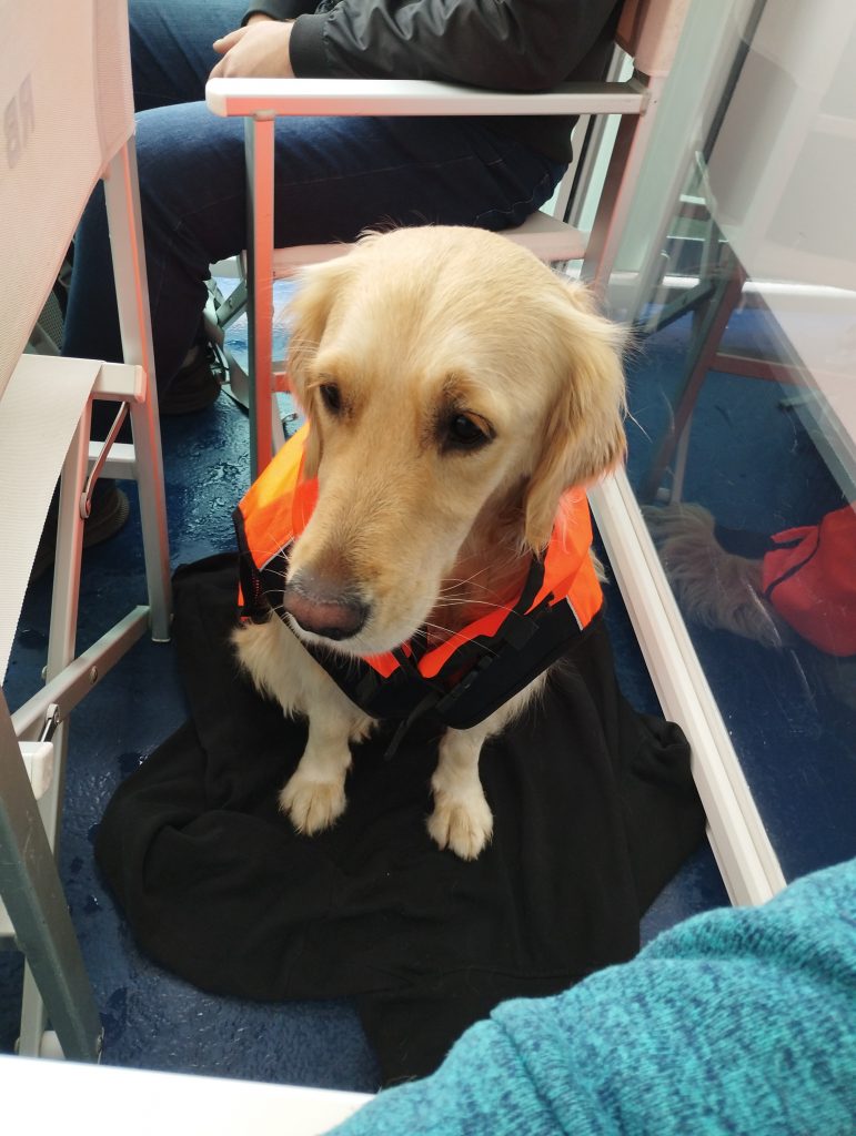 Schifffahrt nach Lübeck