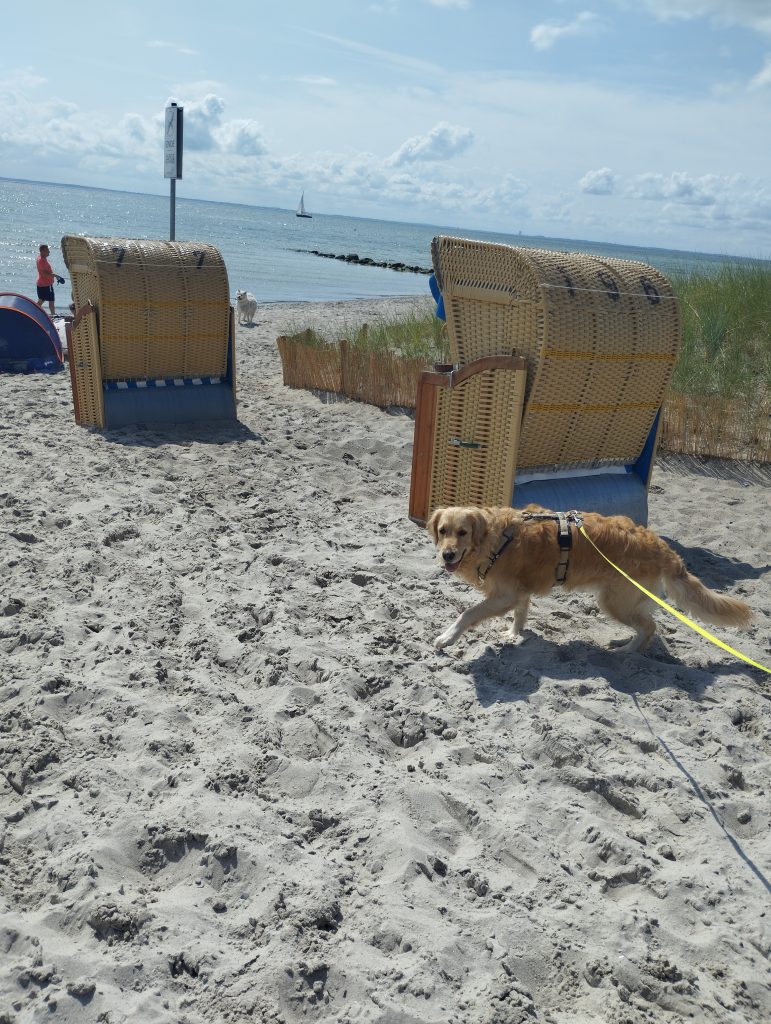 Hundestrand Grömitz