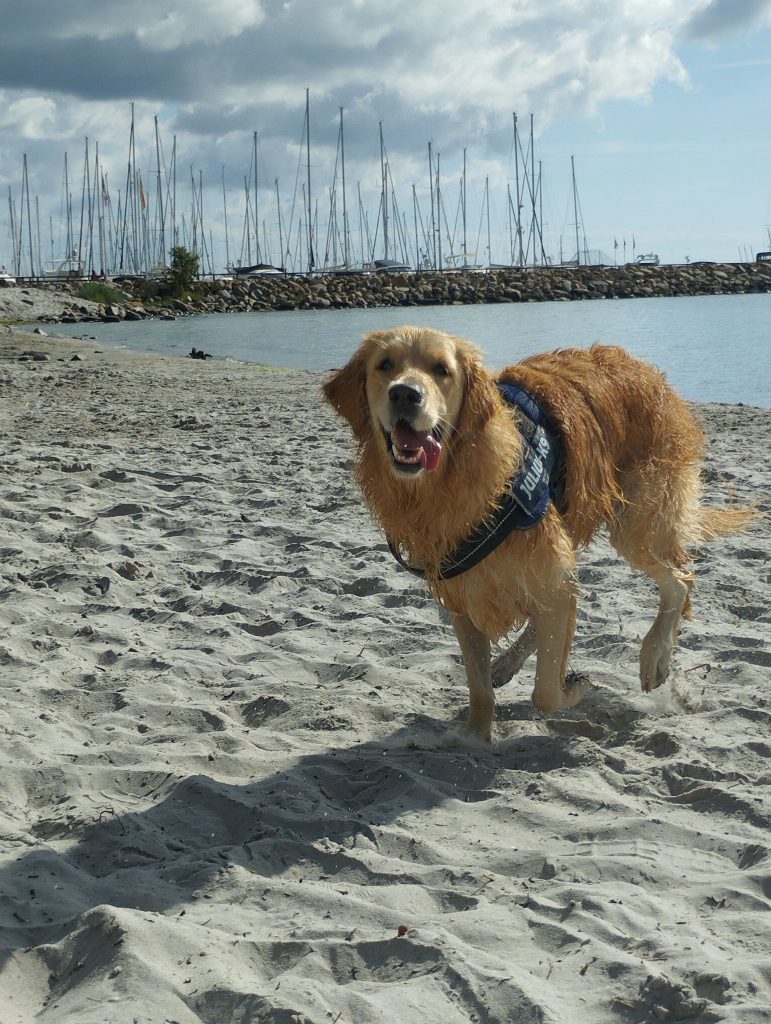 Steilküste Grömitz