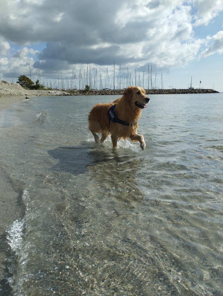 Steilküste Grömitz