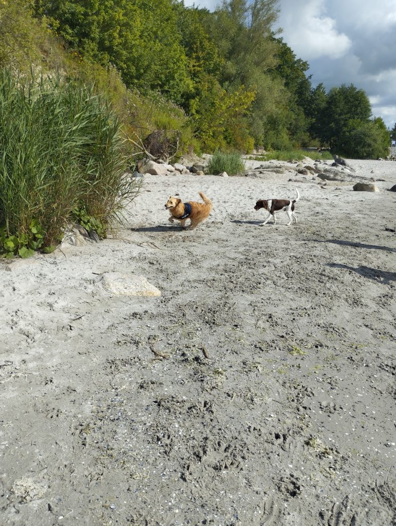 Steilküste Grömitz