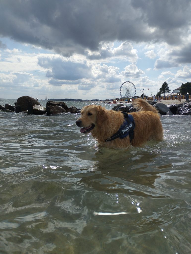Hundestrand Grömitz