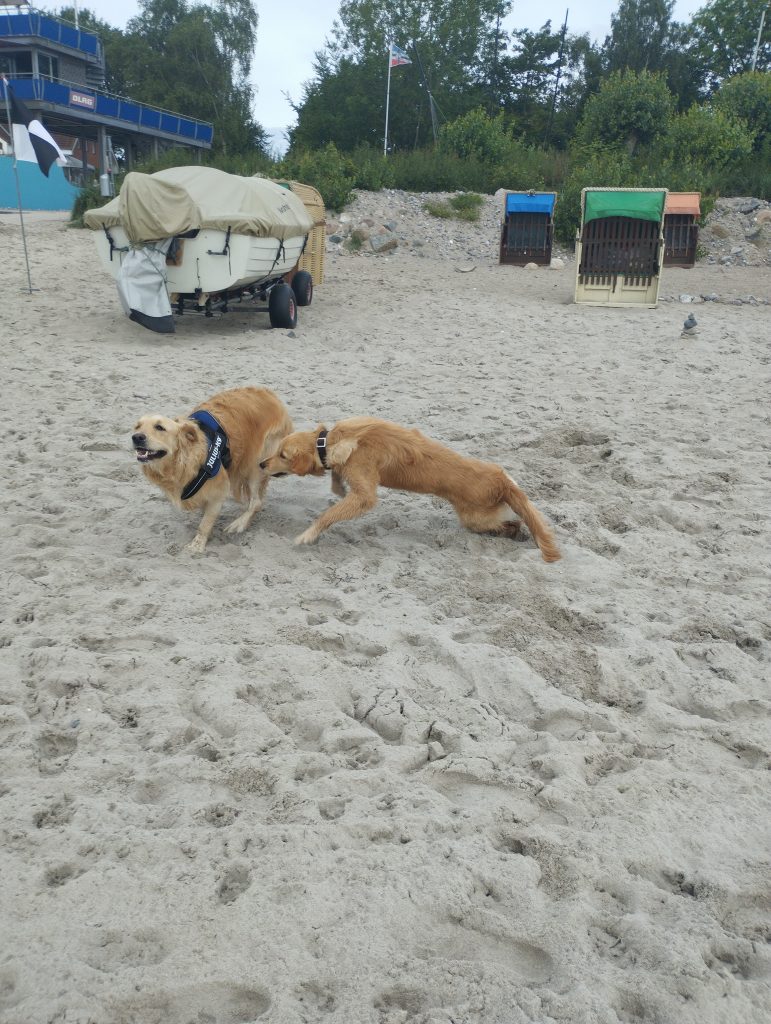Hundestrand Kellenhusen