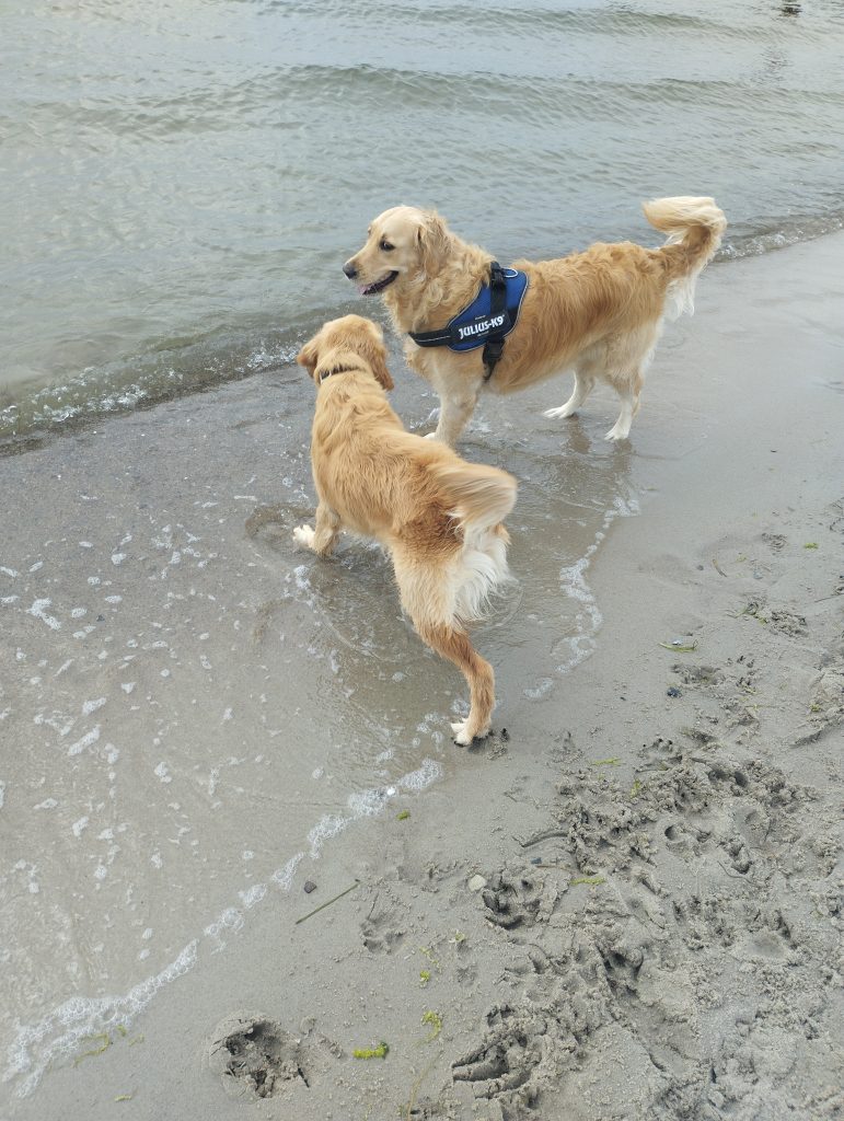 Hundestrand Kellenhusen