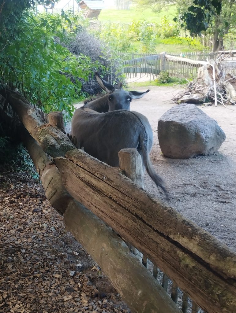 Zoo Arche Noah Grömitz