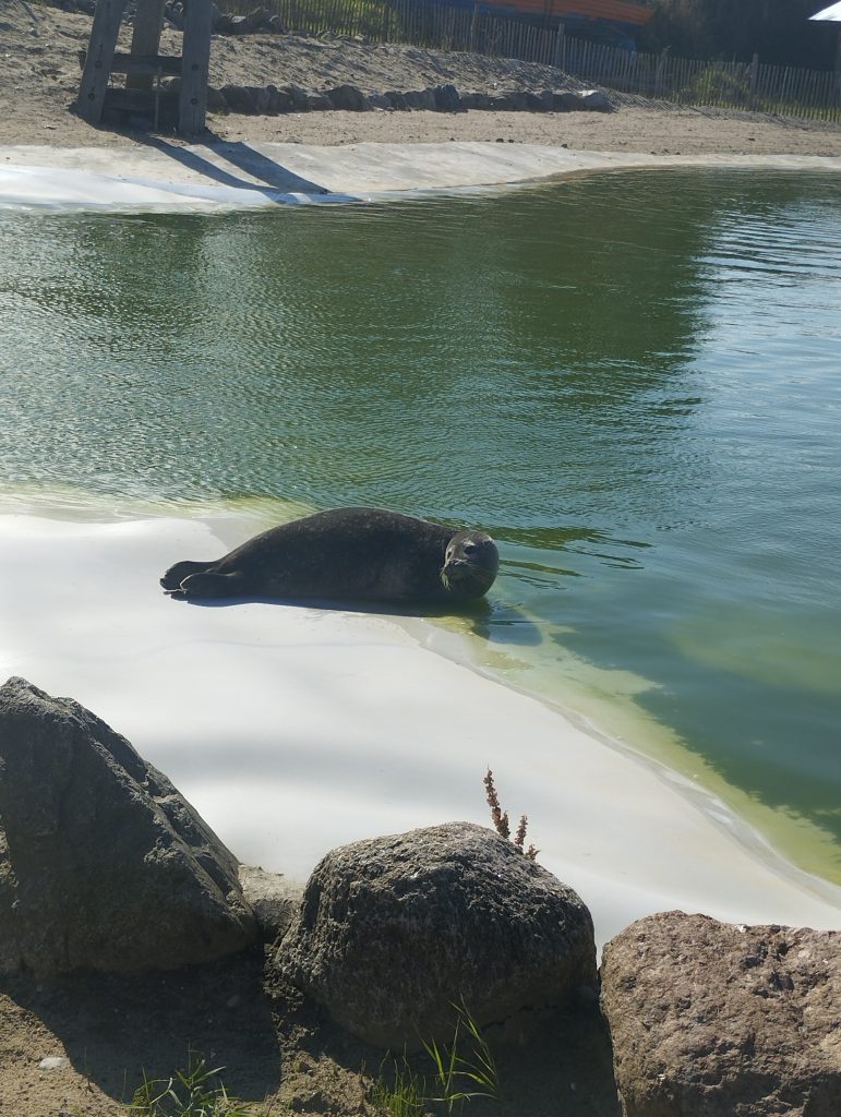 Zoo Arche Noah Grömitz