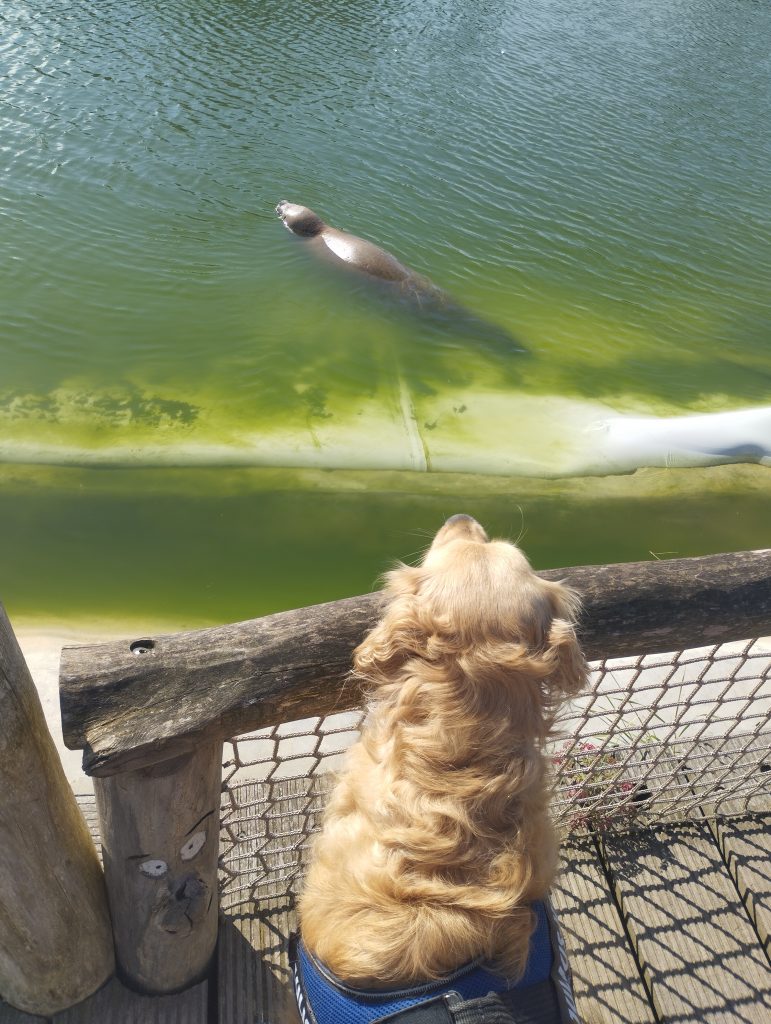 Zoo Arche Noah Grömitz