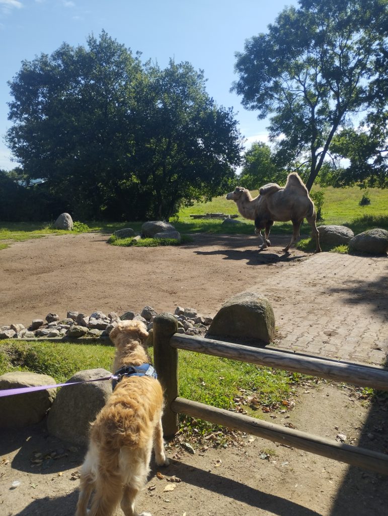 Zoo Arche Noah Grömitz