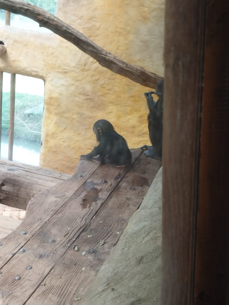 Zoo Arche Noah Grömitz