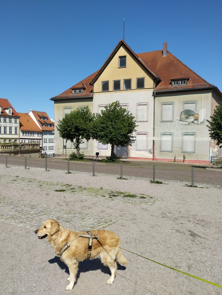 Schloss Friedenstein