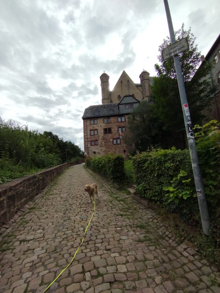 Landgrafenschloss Marburg