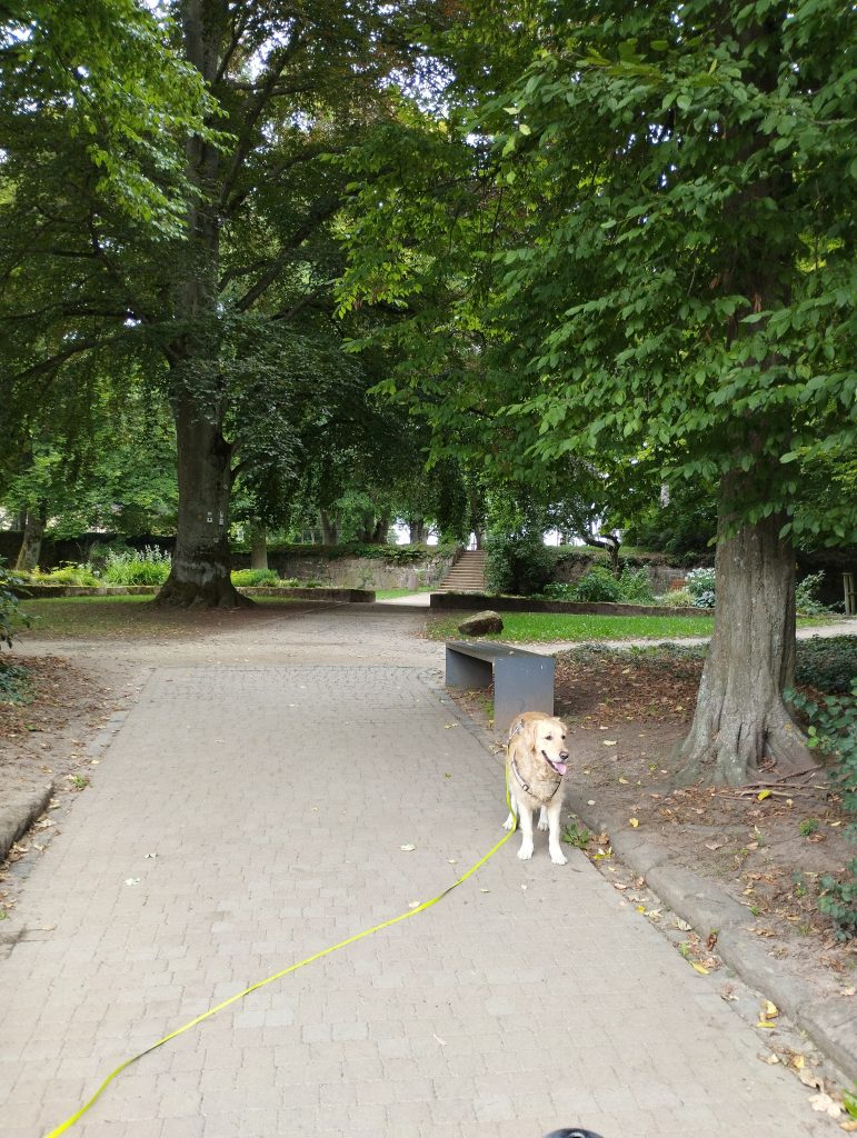 Schlossgarten Marburg