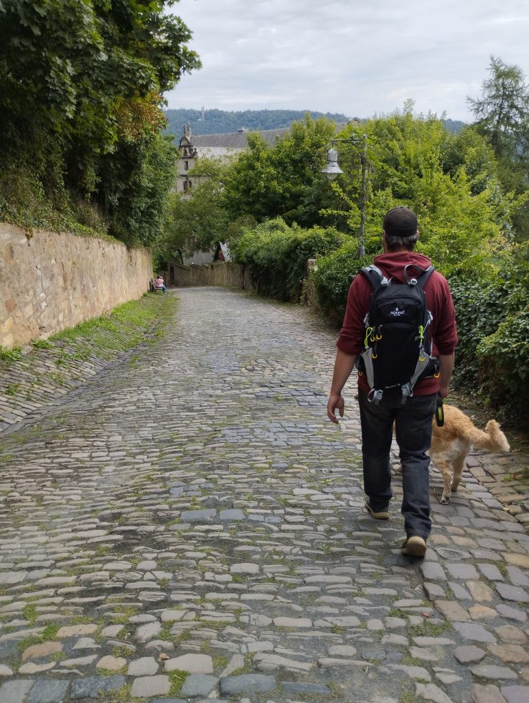 Abstieg vom Schloss Marburg