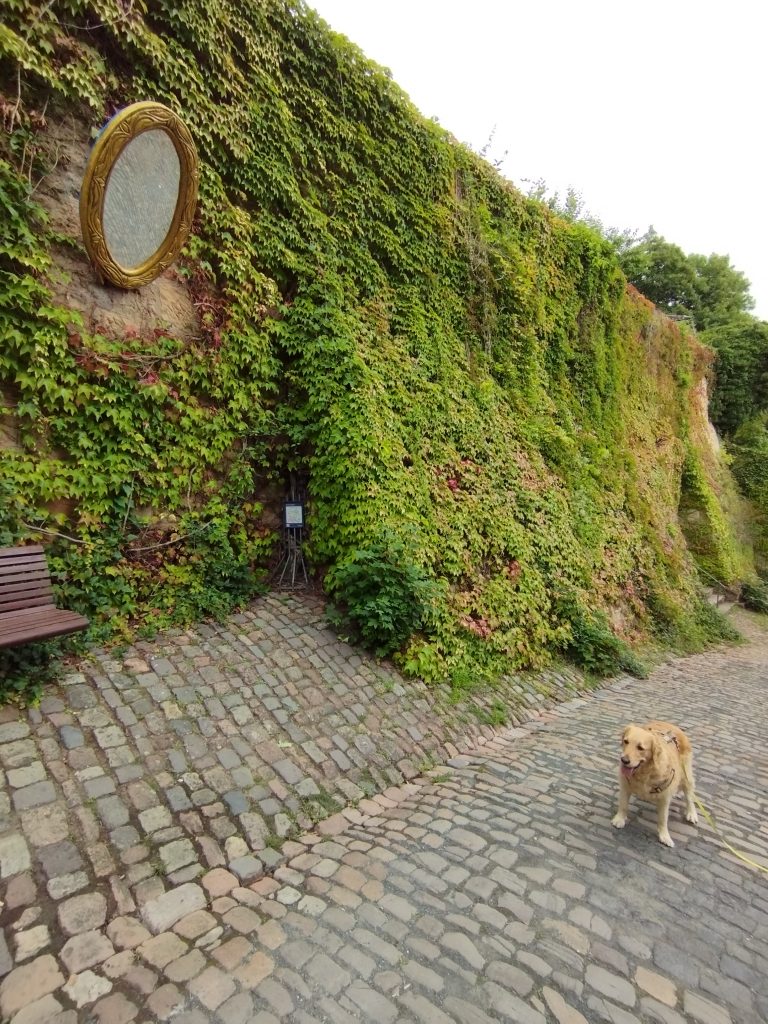 Punkt 9 - Grimm-Dich-Pfad Marburg