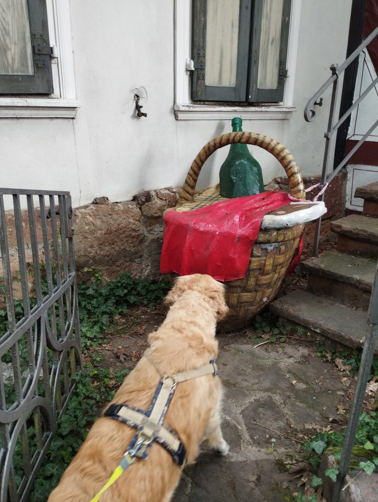 Punkt 8 - Grimm-Dich-Pfad Marburg