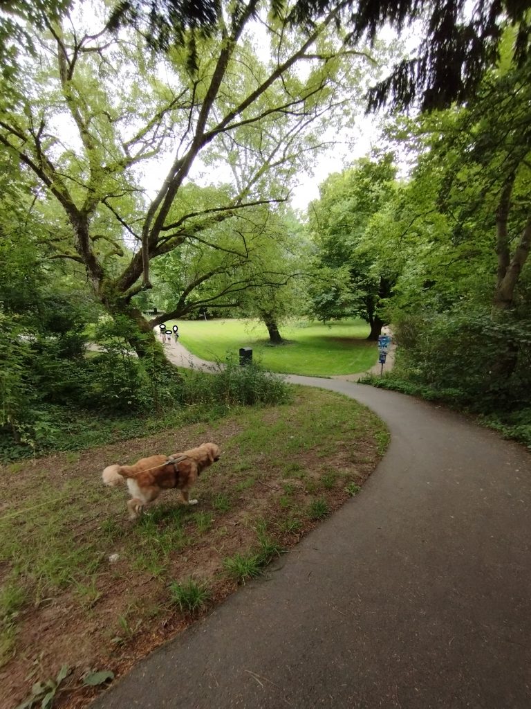 Alter botanischer Garten Marburg