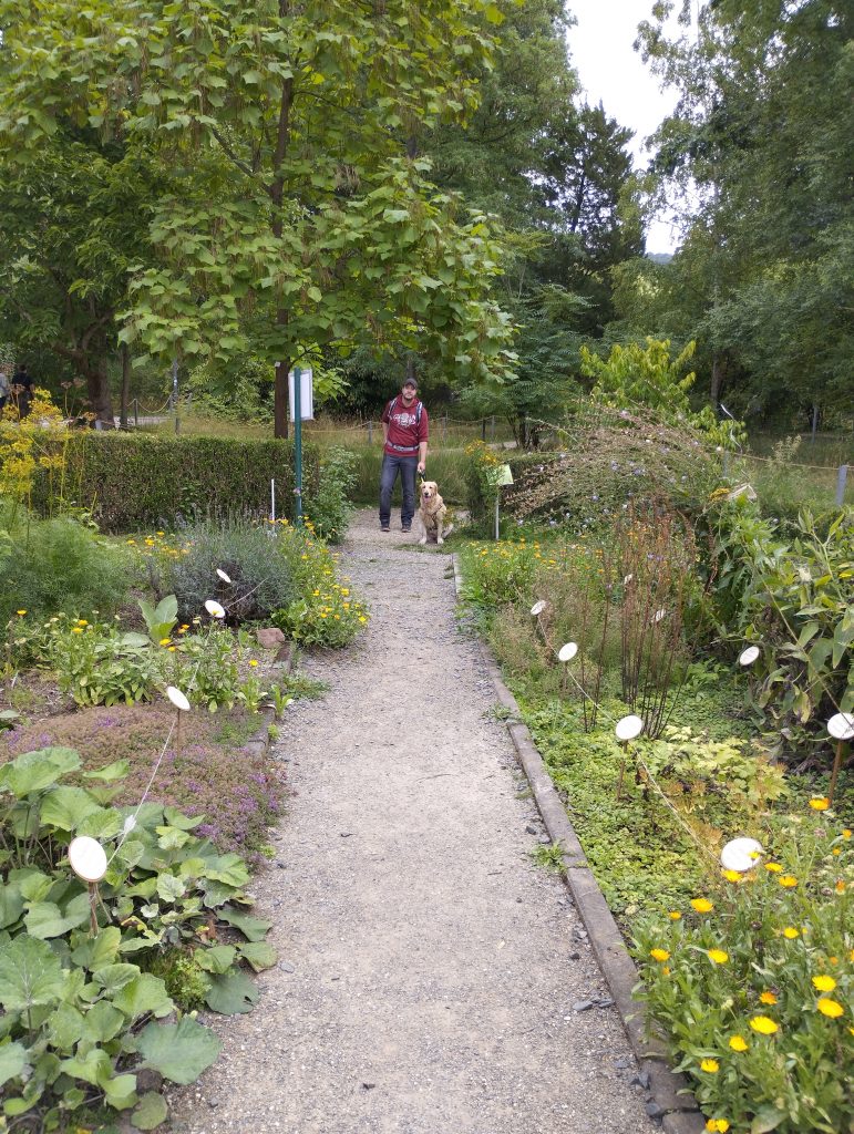 Alter botanischer Garten Marburg