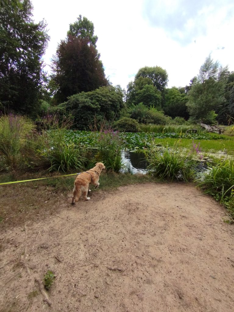 Alter botanischer Garten Marburg