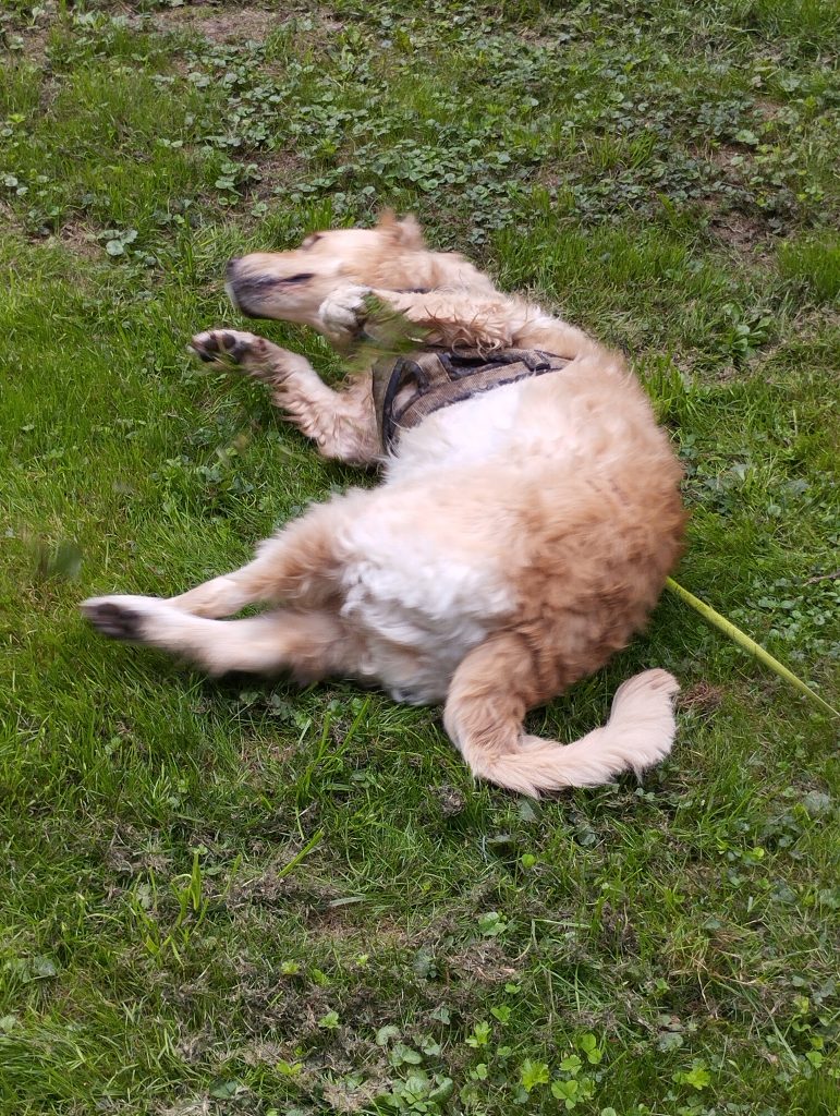 Alter botanischer Garten Marburg