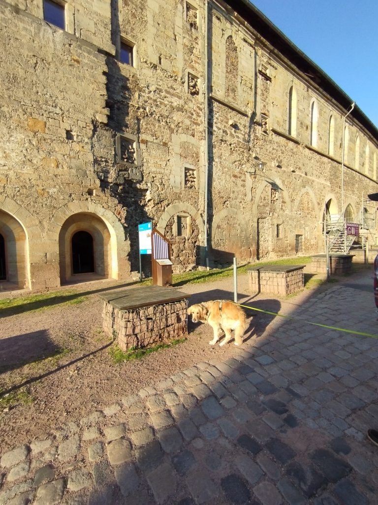 Predigerkirche Eisenach