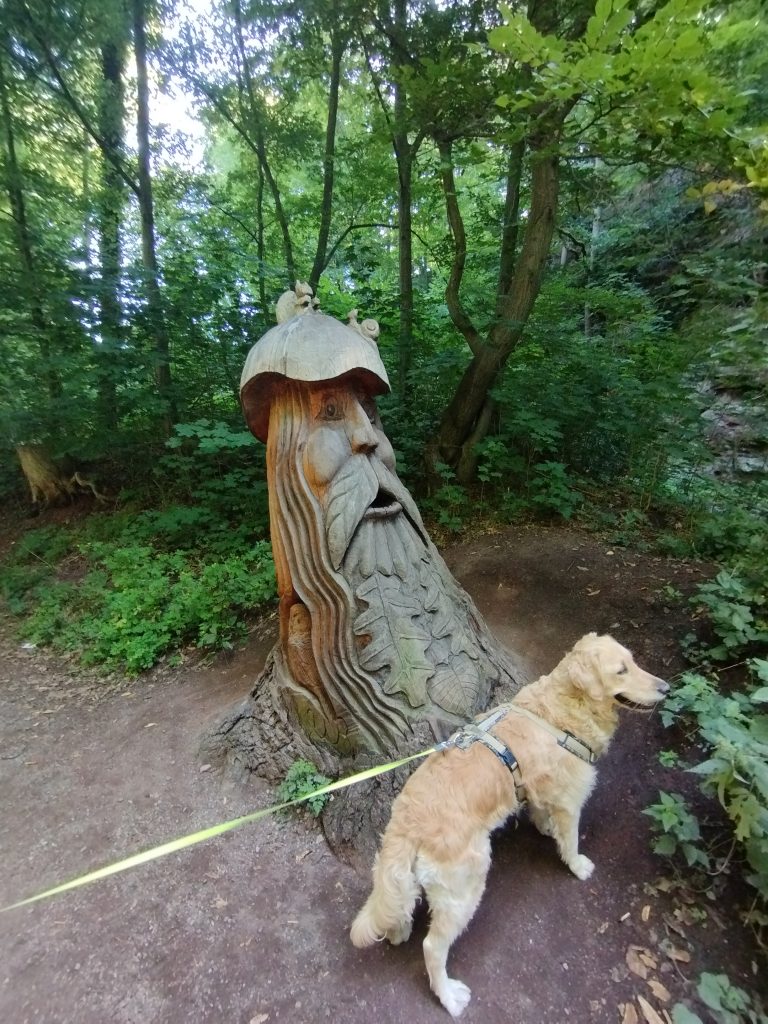 Drachenschlucht Eisenach