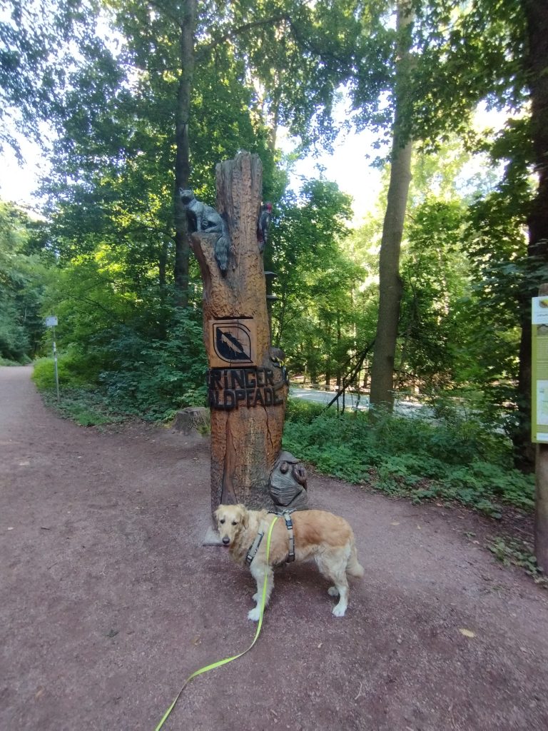 Drachenschlucht Eisenach