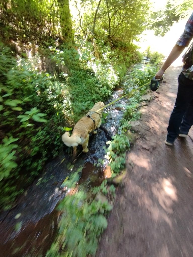Drachenschlucht Eisenach