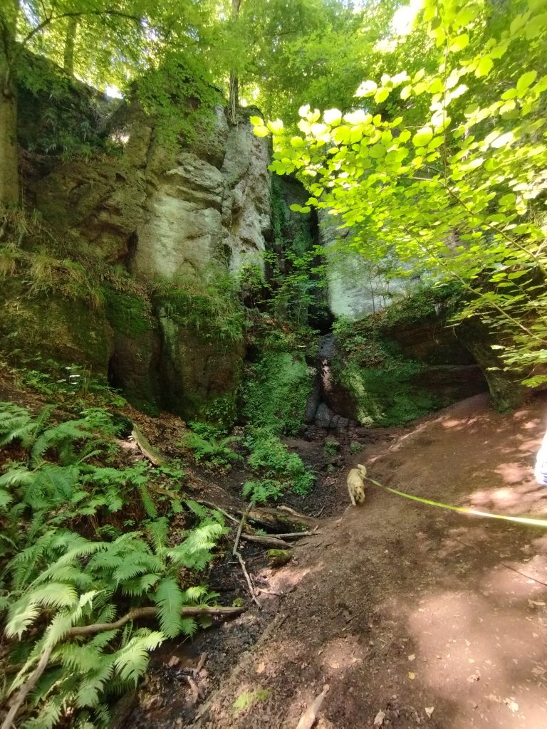 Drachenschlucht Eisenach