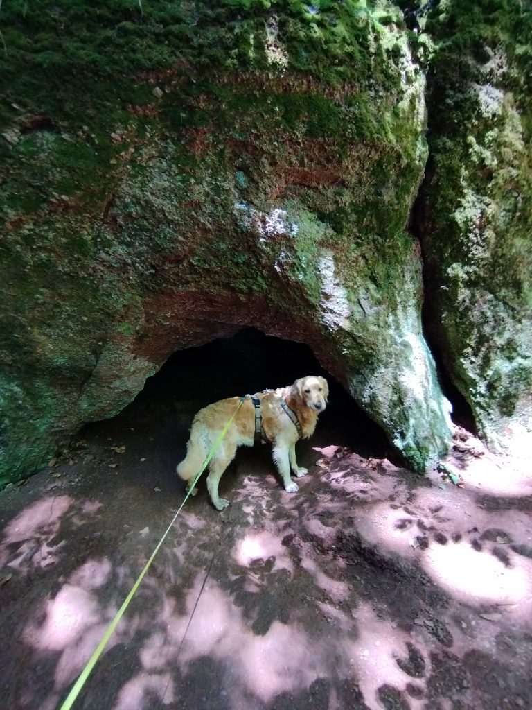 Drachenschlucht Eisenach