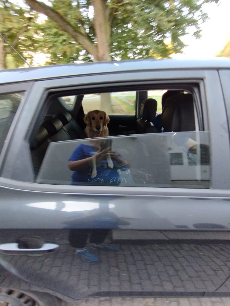 Emmas-Pfoten-Abenteuer