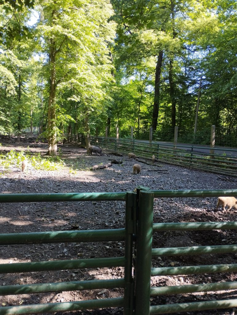 Wildpark Leipzig