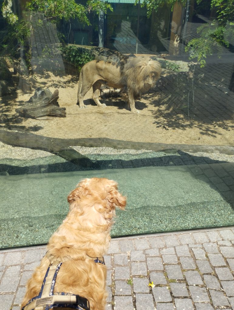 Bergzoo - Zoologischer Garten Halle (Saale)