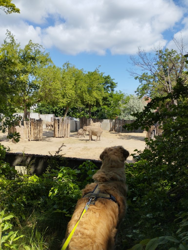 Bergzoo - Zoologischer Garten Halle (Saale)