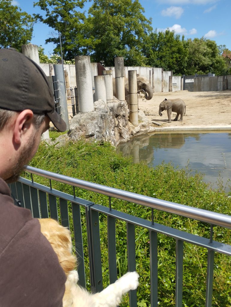 Bergzoo - Zoologischer Garten Halle (Saale)