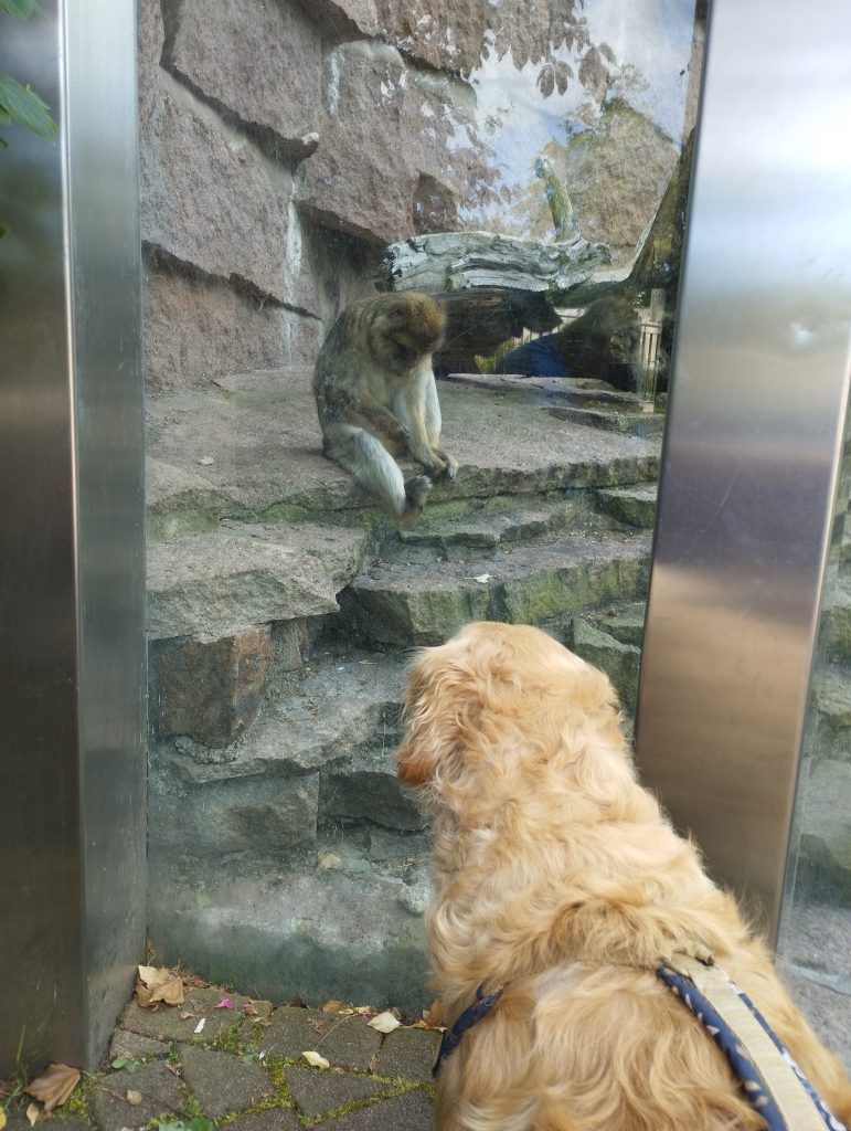 Bergzoo - Zoologischer Garten Halle (Saale)