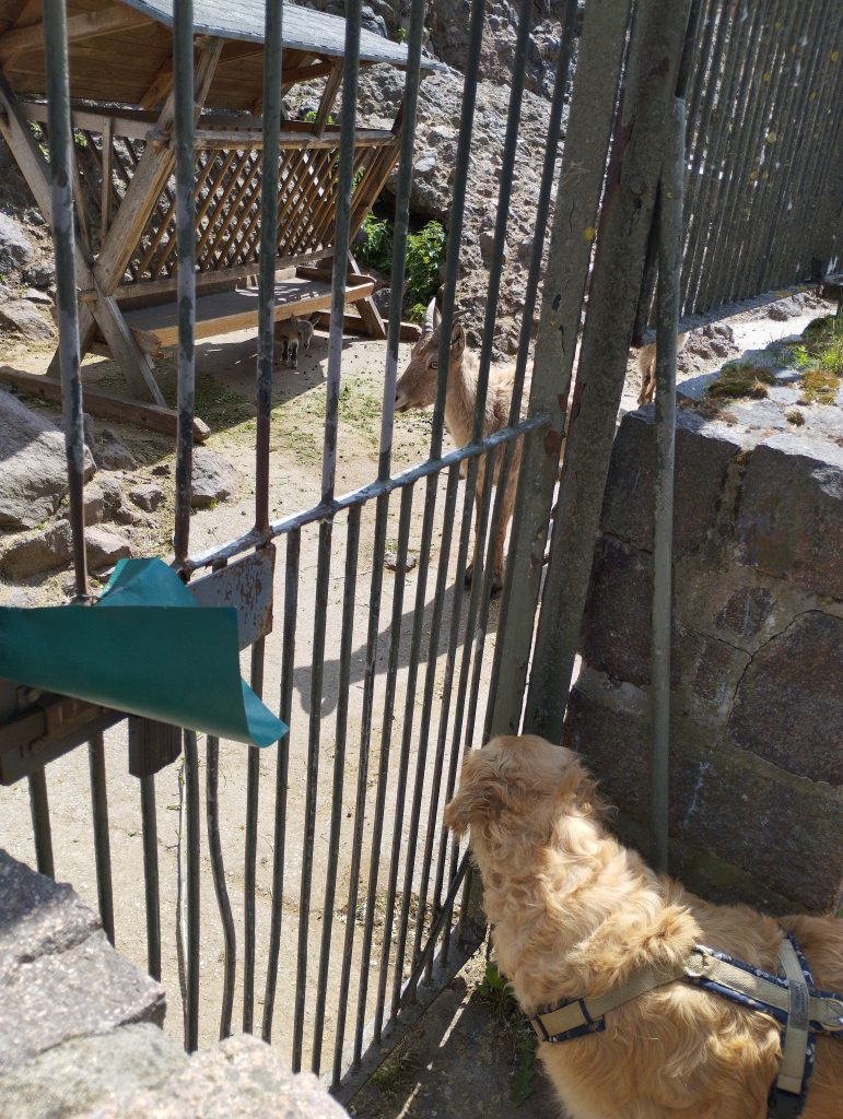 Bergzoo - Zoologischer Garten Halle (Saale)