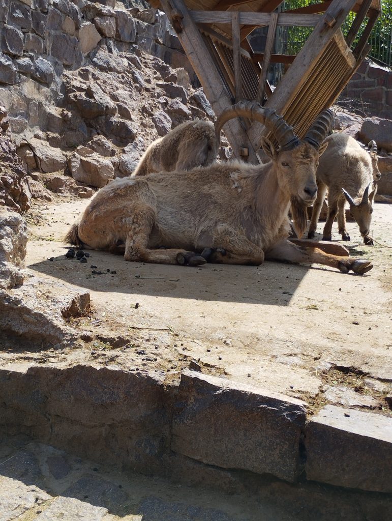Bergzoo - Zoologischer Garten Halle (Saale)