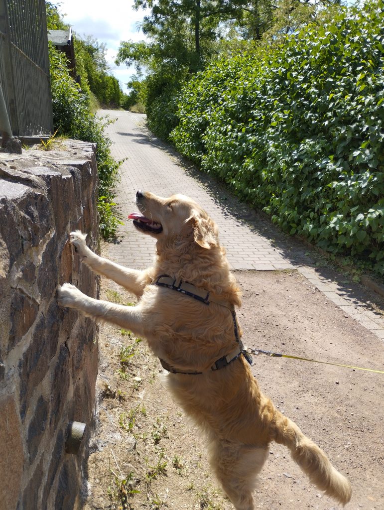 Bergzoo - Zoologischer Garten Halle (Saale)