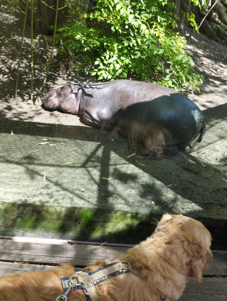 Bergzoo - Zoologischer Garten Halle (Saale)