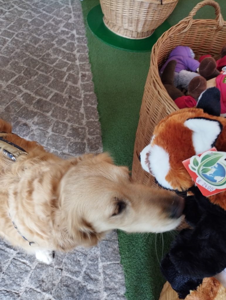 Bergzoo - Zoologischer Garten Halle (Saale)