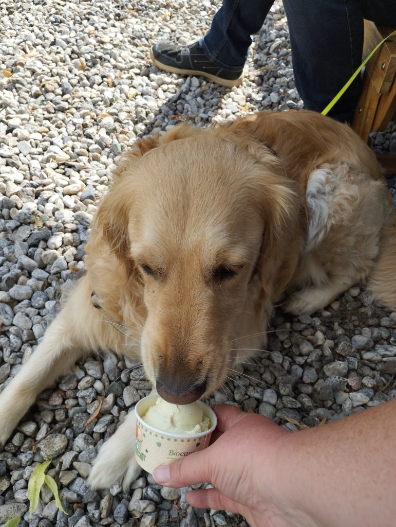 Eiscafè Capri Leipzig