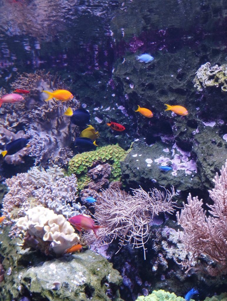 Zoo Leipzig - Tierärztin Dr. Mertens