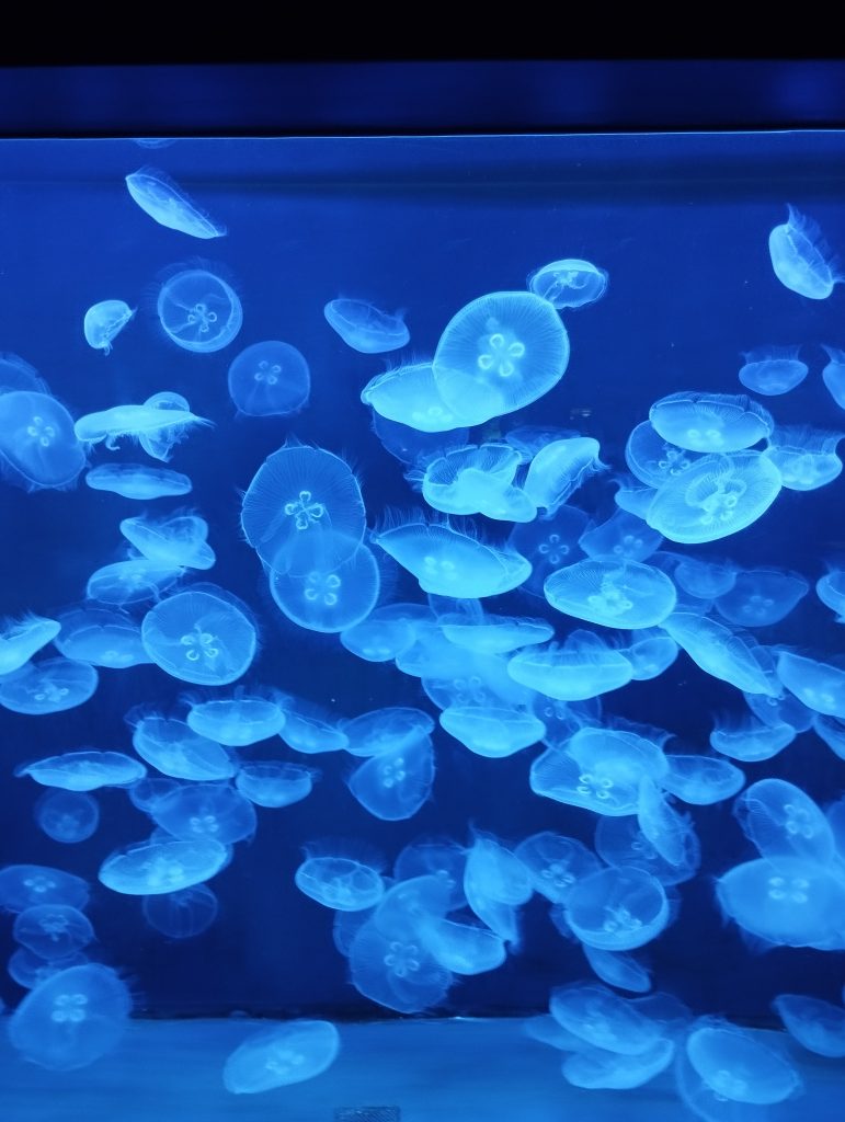 Zoo Leipzig - Tierärztin Dr. Mertens